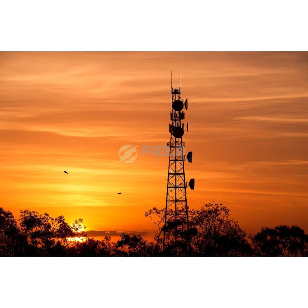 Field  Business Grade Managed Fixed Wireless Broadband (Subscription)